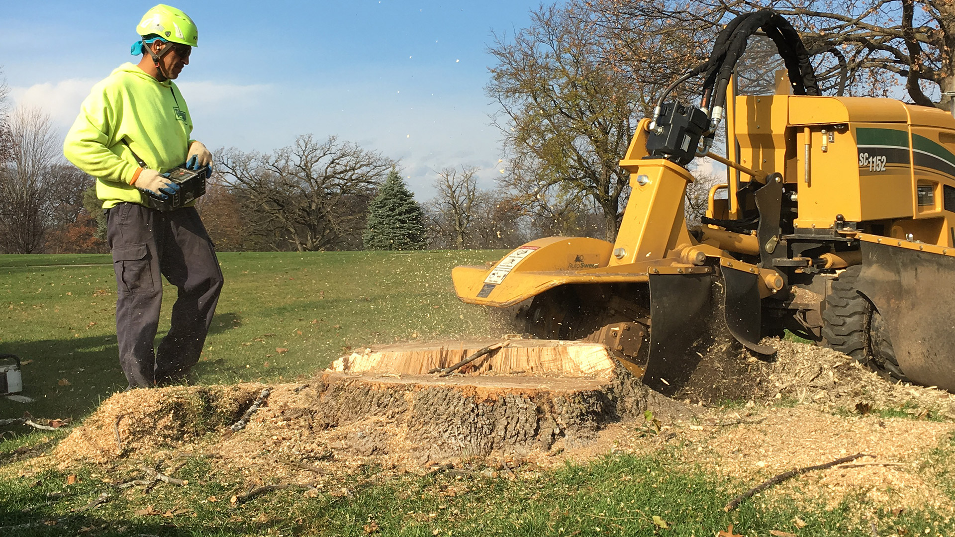 Stump Grinding - Dawsons Tree Service