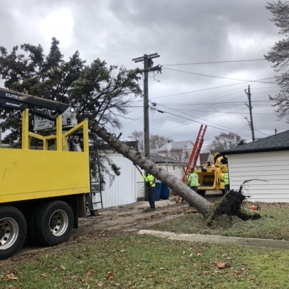 Emergency Services - Dawsons Tree Service