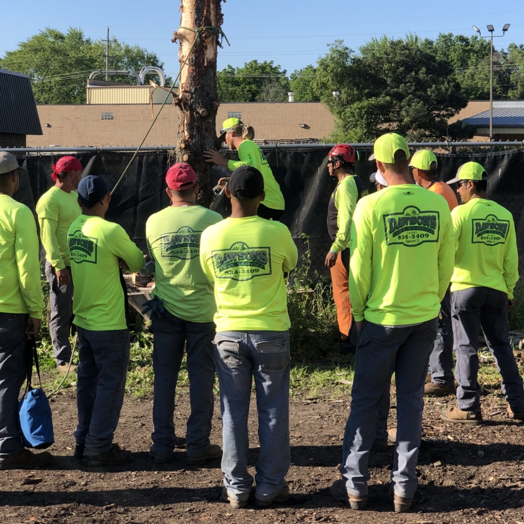 Photo of Safety Training.  Careers at Dawsons Tree Service, Inc. Work with Us!